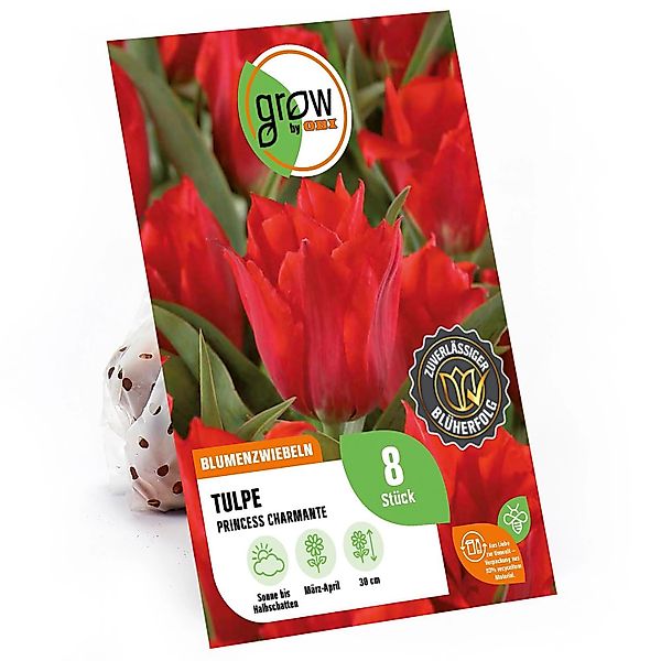 GROW by OBI Tulpen greigii Oratorio Rosa 8 Stück Tulipa greigii Oratorio günstig online kaufen