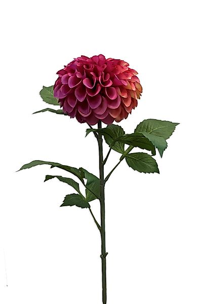 Kunstblume Pink, Durchmesser 12.5 cm, Emerald, günstig online kaufen