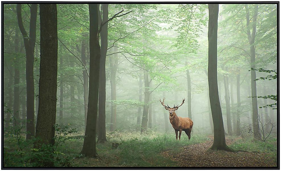 Papermoon Infrarotheizung »Hirsch im Wald«, sehr angenehme Strahlungswärme günstig online kaufen