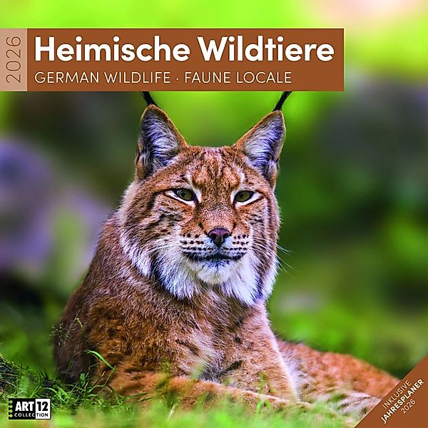 Heimische Wildtiere Kalender 2026 - 30x30 günstig online kaufen
