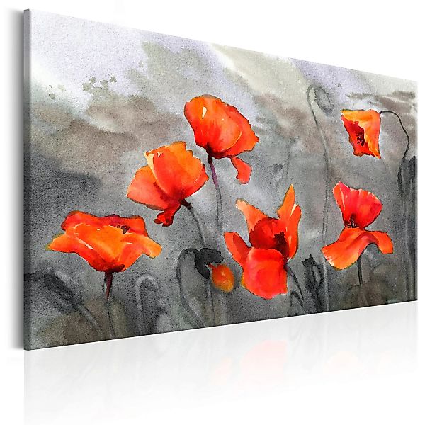 Wandbild - Poppies (Watercolour) günstig online kaufen