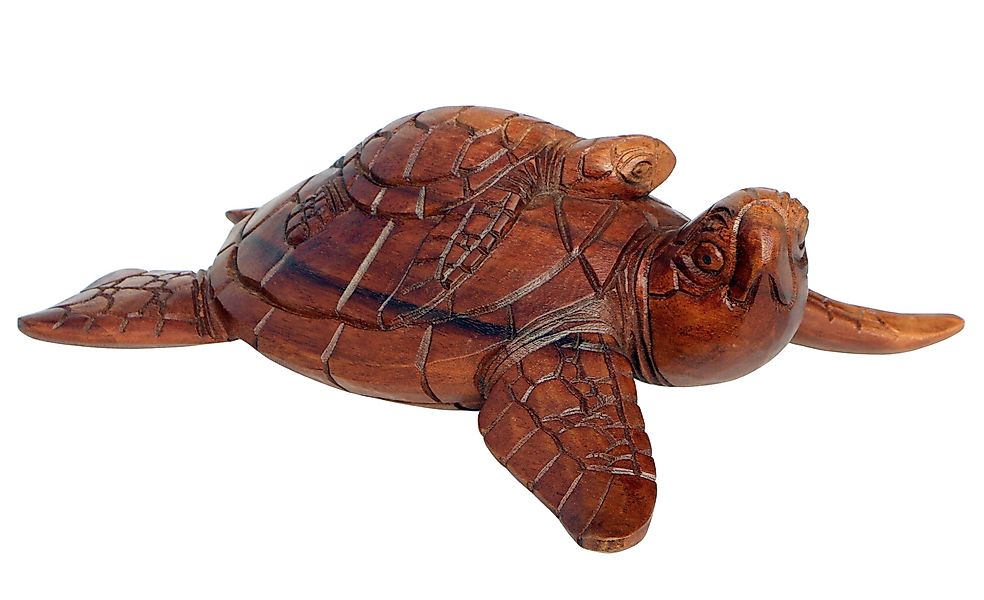 Wogeka Tierfigur Wasser-Schildkröte Holz-Figur Schildi Tier günstig online kaufen