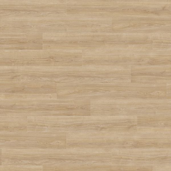 Living by Haro Laminat 8 mm Eiche Eleganza Puro günstig online kaufen