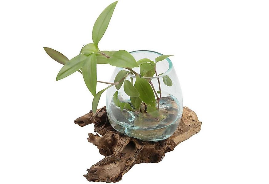 Casa Moro Dekovase Glasvase auf Wurzelholz Ø 12cm aus Recycling Glas & Wurz günstig online kaufen