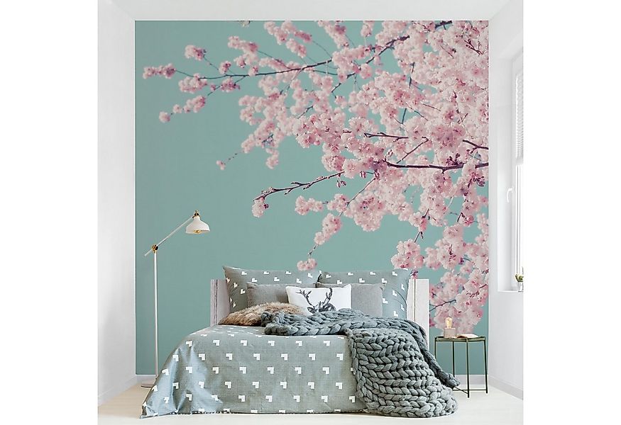 Bilderdepot24 Fototapete Blumen Japanische Kirschblüte Blumentapete Floral günstig online kaufen