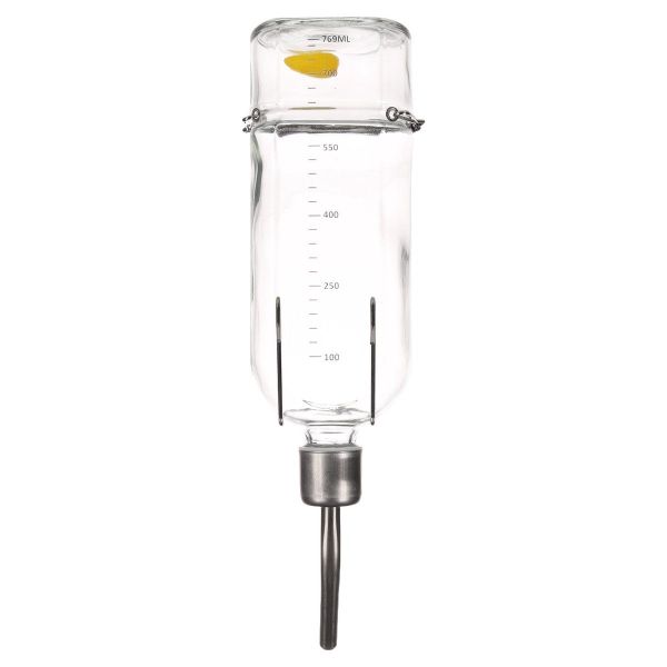 Flamingo Wasserspender Trinkflasche Athina Glas Nager günstig online kaufen