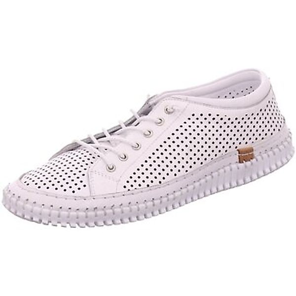 Andrea Conti  Halbschuhe Schnuerschuhe günstig online kaufen