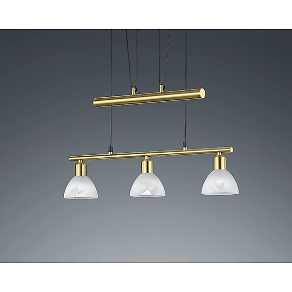 TRIO Leuchten LED Pendelleuchte »LEVISTO« günstig online kaufen