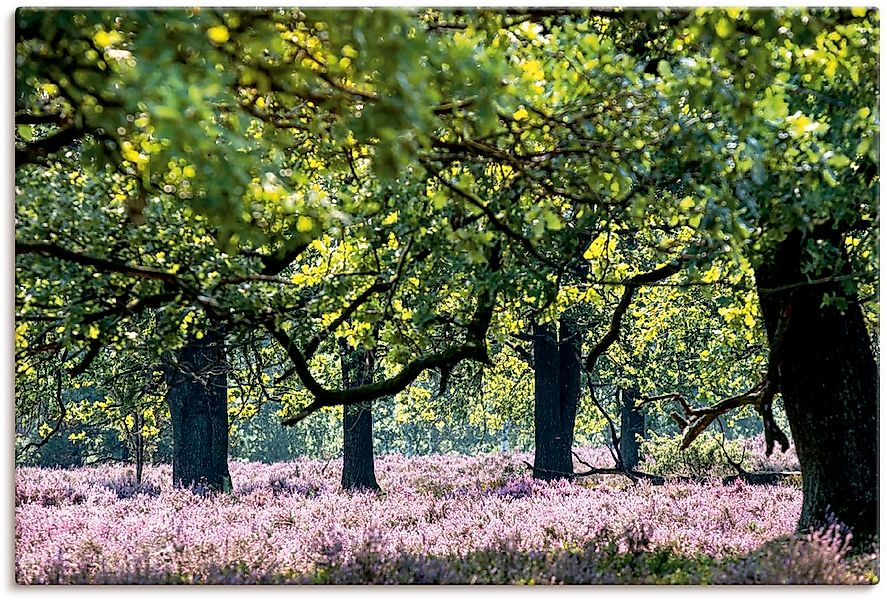 Artland Leinwandbild "Lüneburger Heide", Wiesen & Baumbilder, (1 St.), auf günstig online kaufen