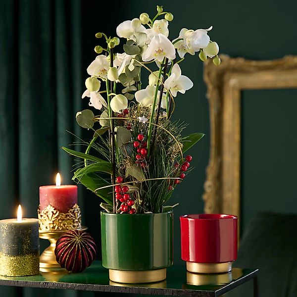 matches21 HOME & HOBBY Blumentopf Blumentöpfe günstig online kaufen