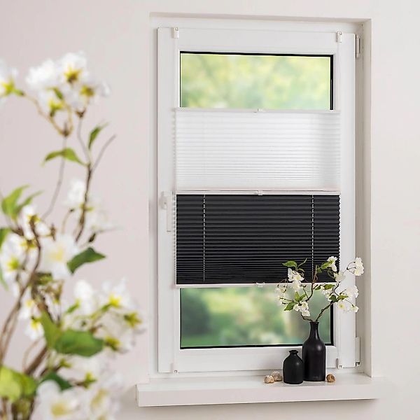 Liedeco Plissee Day & Night, Lichtschutz, ohne Bohren, verspannt, Klemmfix, günstig online kaufen