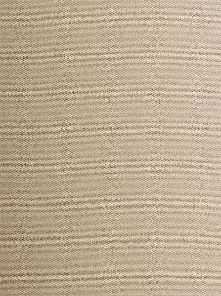 heine home Vorhang Multifunktionsband 1 tlg. günstig online kaufen