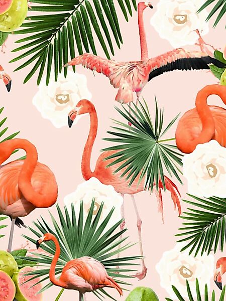Poster / Leinwandbild - Flamingo Guava günstig online kaufen