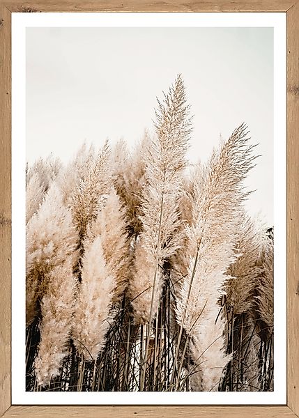 Bönninghoff Bild mit Rahmen, Gräser, Natur, günstig online kaufen
