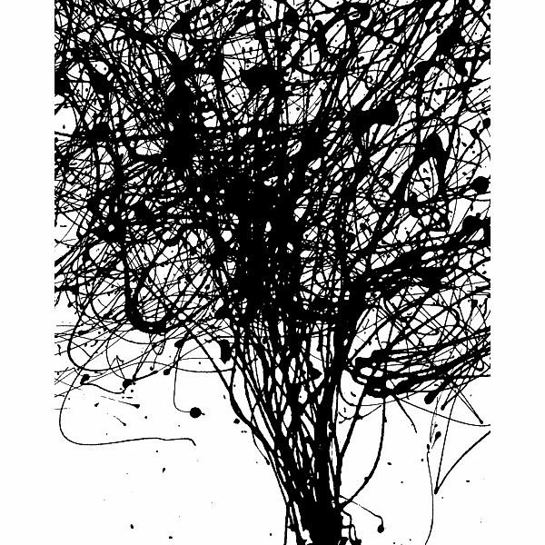 Komar Fototapete Vlies Curls  200 x 250 cm günstig online kaufen