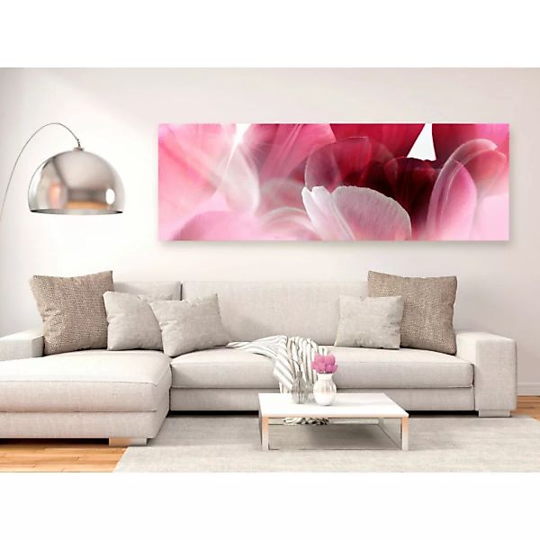 Bild auf Leinwand Flowers: Pink Tulips XXL günstig online kaufen