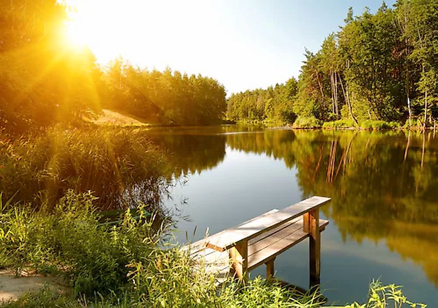 Papermoon Fototapete »Summer Forest Lake« glatt günstig online kaufen