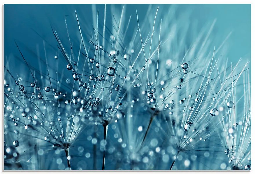 Artland Glasbild "Blaue glitzernde Pusteblume" 1 Stk. tlg. in verschiedenen günstig online kaufen