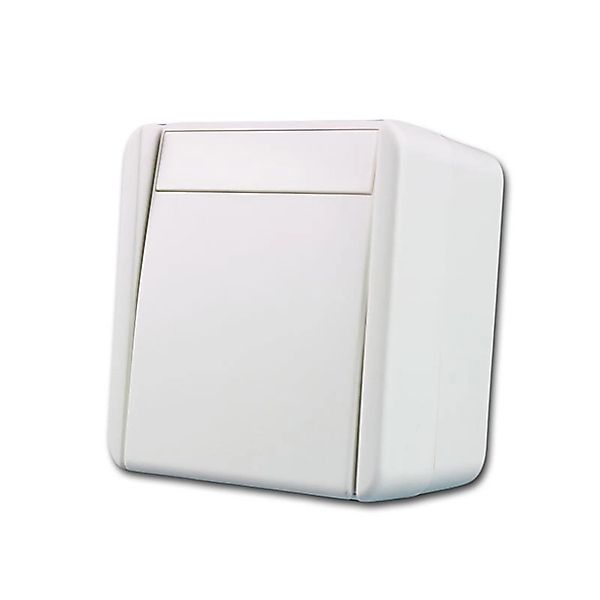 TEM Fontana Wechselschalter Weiß 250V10A AP IP44 günstig online kaufen