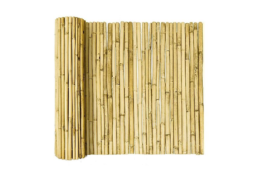 Sol Royal Sichtschutzzaunmatten Hell Glänzend Premium Bambus Sichtschutz 80 günstig online kaufen