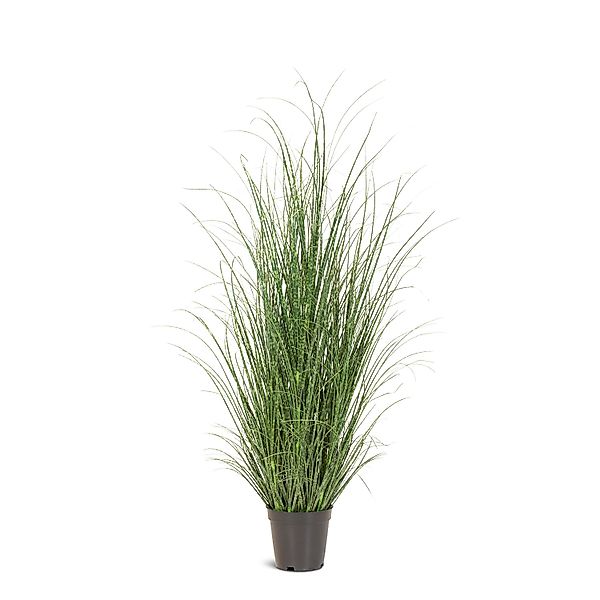 Zebragras Miscanthus Sinensis Kunstpflanze, Höhe 100 cm günstig online kaufen