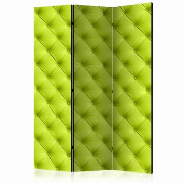 artgeist Paravent Lime detente [Room Dividers] grau/grün Gr. 135 x 172 günstig online kaufen