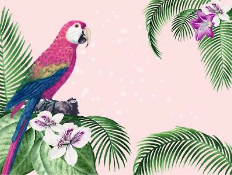 tischsetmacher Tischset Platzsets abwaschbar - Papagei mit Hibiskus und Pal günstig online kaufen