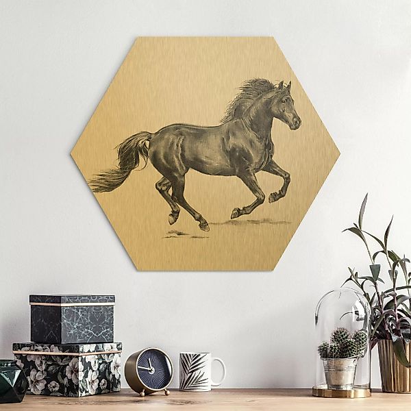 Hexagon-Alu-Dibond Bild Tiere Wildpferd-Studie - Hengst günstig online kaufen