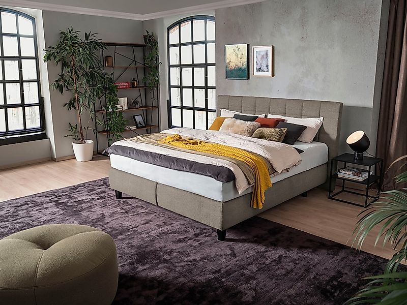 alina Boxspringbett "Edera", Doppelbett wahlweise mit Topper, Liegefläche 1 günstig online kaufen