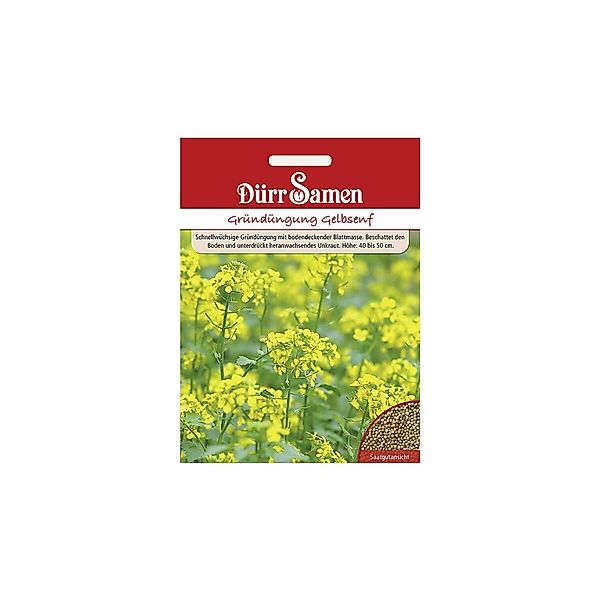 Dürr Samen Gelbsenf 250 G Für 50 M2 Saatgut günstig online kaufen