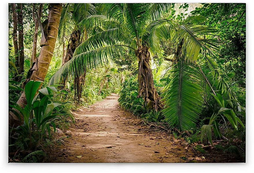 A.S. Création Leinwandbild "Palm Walk", (1 St.) günstig online kaufen