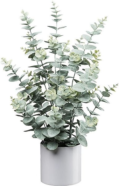 Kunstpflanze Eukalyptus, Creativ green, Höhe 66 cm, mit üppigem Blattwerk günstig online kaufen