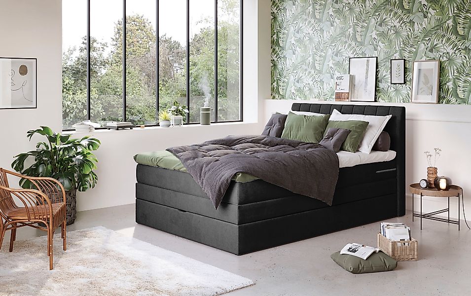 COTTA Boxspringbett »Shark inkl. Bettkasten und Topper« erhältlich in den B günstig online kaufen