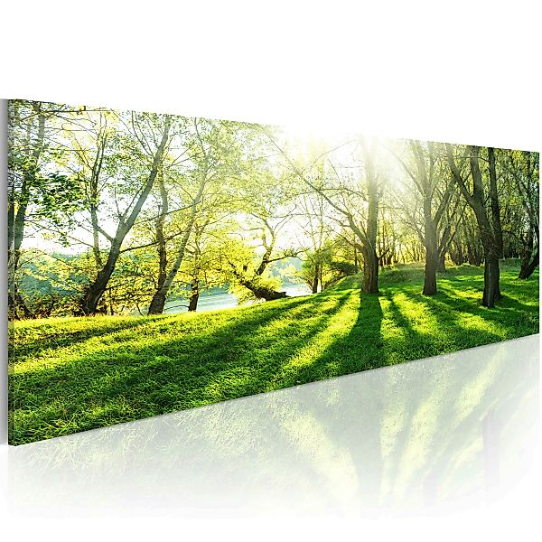 Wandbild - Rays of Sunshine günstig online kaufen