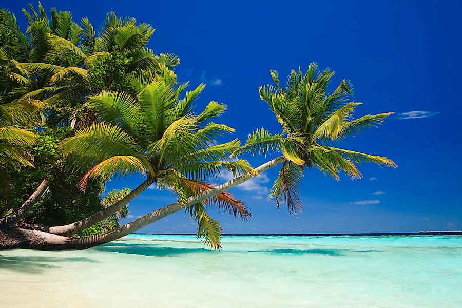 Papermoon Fototapete "PALMEN-STRAND-KARIBIK SÜDSEE MEER OZEAN SEE SONNE DÜN günstig online kaufen