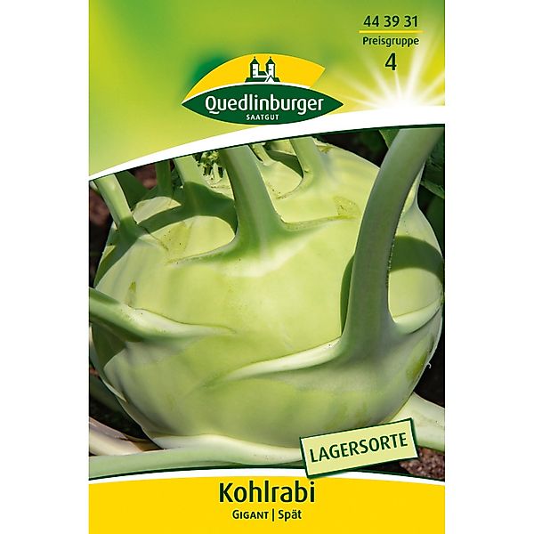 Quedlinburger Kohlrabi ''Gigant'' Großpackung günstig online kaufen