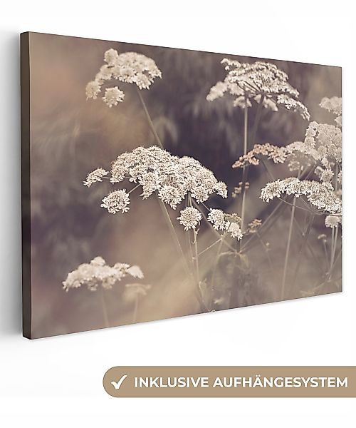 OneMillionCanvasses® Leinwandbild Pflanze - Weiß - günstig online kaufen