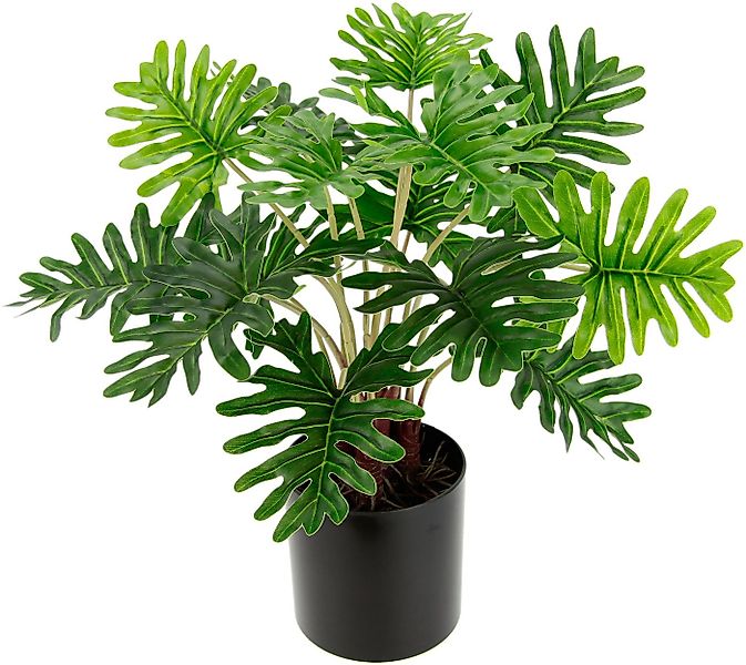 Künstliche Zimmerpflanze Philo, I.GE.A., Höhe 38 cm günstig online kaufen