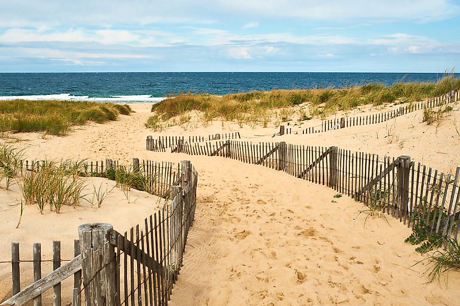 Papermoon Fototapete "Cape Cod Dünen" günstig online kaufen