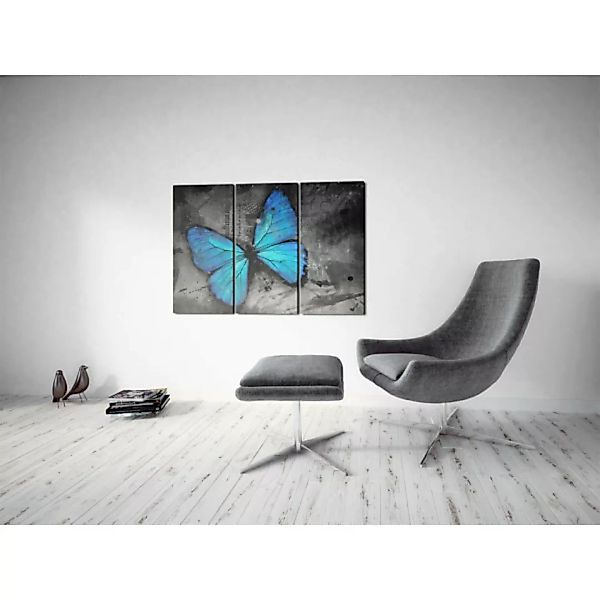 Leinwandbild Studie des Schmetterlings - Triptychon XXL günstig online kaufen