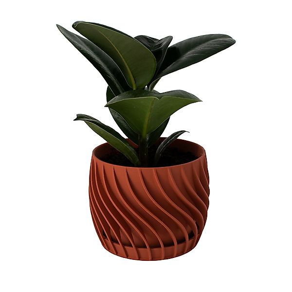 Shapes - Decorations Blumentopf The Plant günstig online kaufen