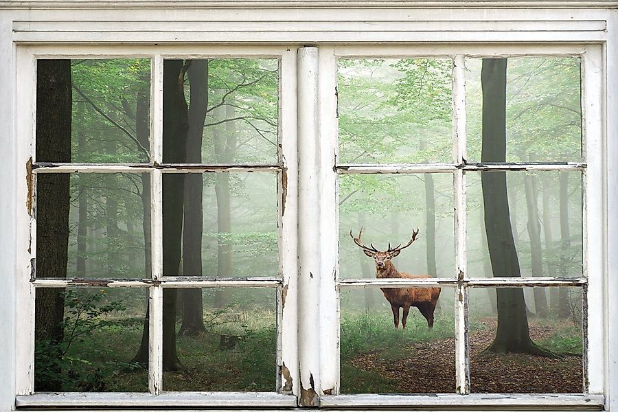 queence Leinwandbild Wald, Bäume, Fensterblick, Hirsch, günstig online kaufen