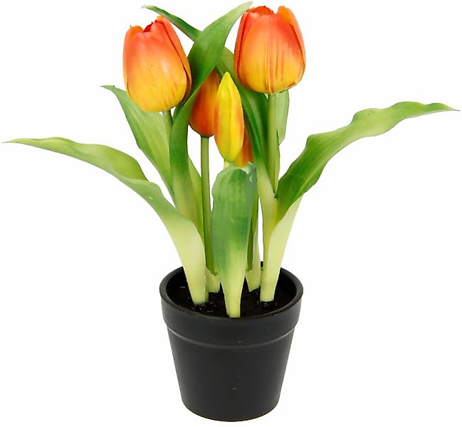 I.GE.A. Kunstblume "Tulpen" Real-Touch Blüten Tulpe Tulpenstrauß Latex Kuns günstig online kaufen
