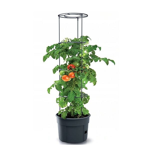 Prosperplast Pflanzkübel IPOM300-S433, Topf für Tomatenpflanze günstig online kaufen