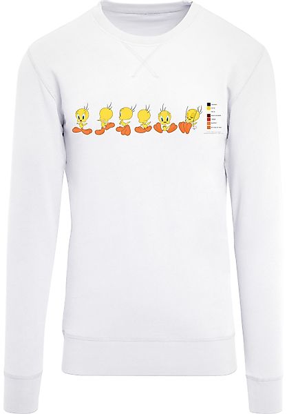 F4NT4STIC Rundhalspullover "F4NT4STIC Herren", (1 tlg.) günstig online kaufen
