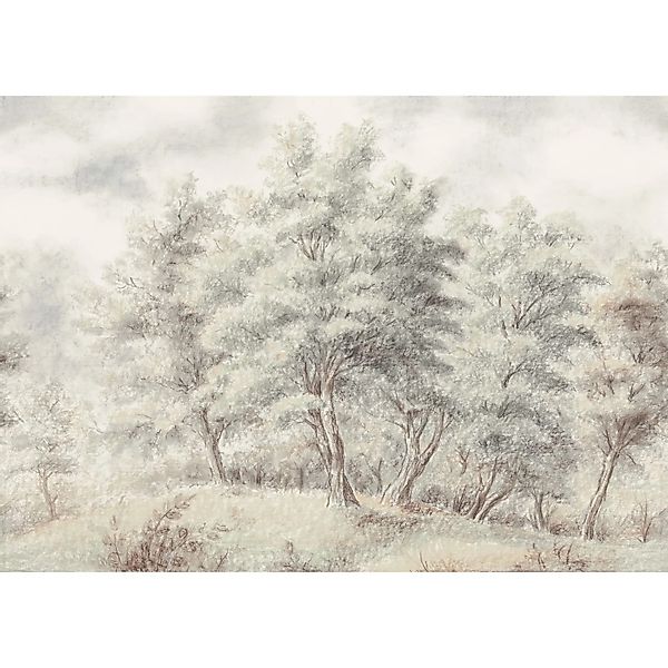 Komar Vliestapete Grove 350 cm x 250 cm günstig online kaufen