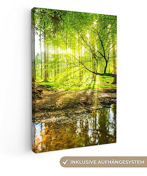 OneMillionCanvasses® Leinwandbild Wald - Landschaft - Wasser - Bäume - Sonn günstig online kaufen