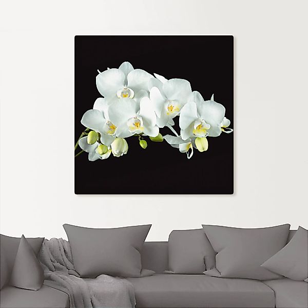 Artland Wandbild »Weiße Orchidee auf schwarzem Hintergrund«, Blumen, (1 St. günstig online kaufen