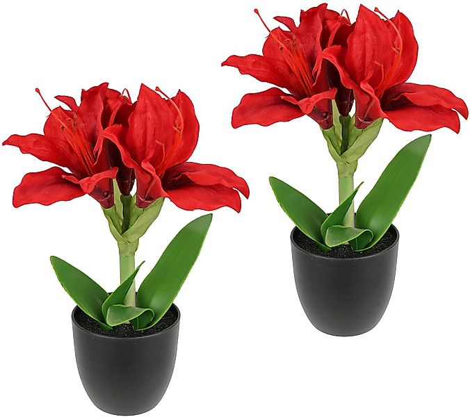 Kunstblume Amaryllis im Topf, I.GE.A., Höhe 28 cm, 2erSet Blume Weihnachtsb günstig online kaufen