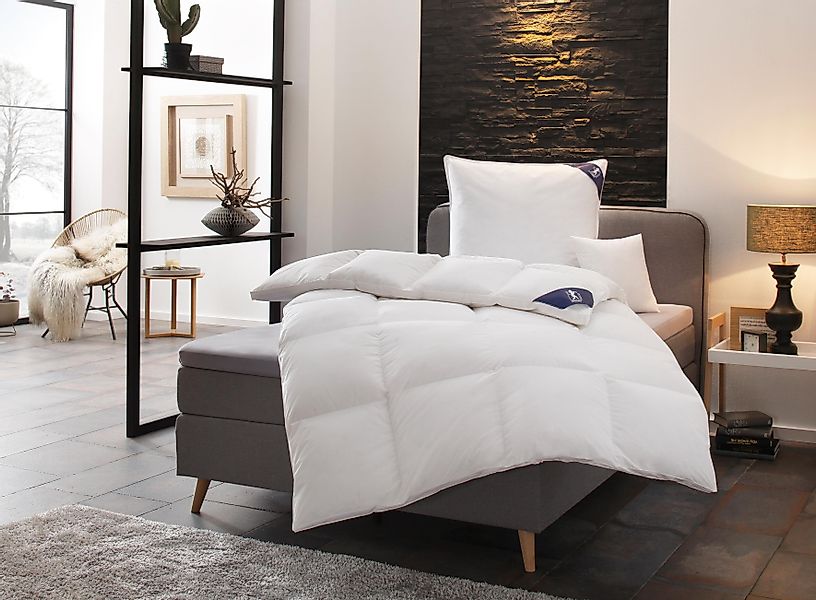 SPESSARTTRAUM Gänsedaunenbettdecke + Kopfkissen Premium******, Füllung: günstig online kaufen